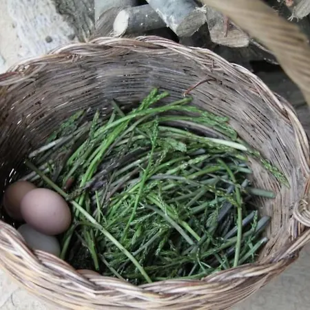 Διαμέρισμα Tolles Reihenhaus Im Olivenhain By Interhome Girifalco