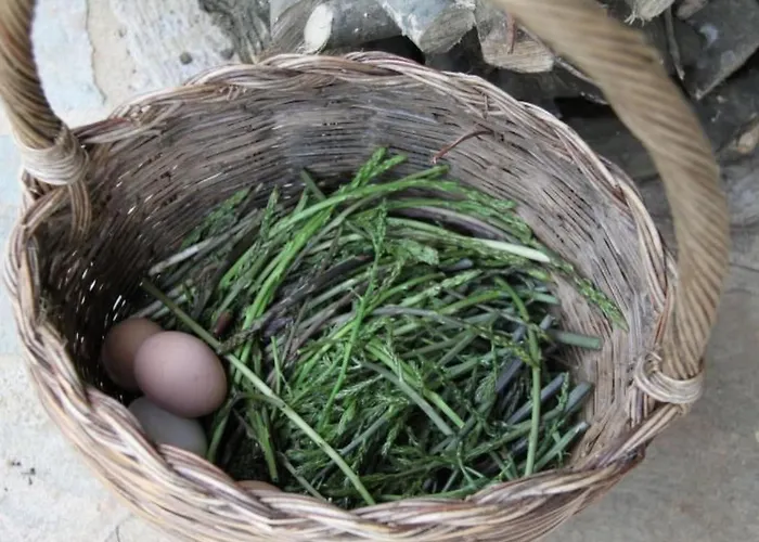 Apartment Tolles Reihenhaus Im Olivenhain By Interhome Girifalco