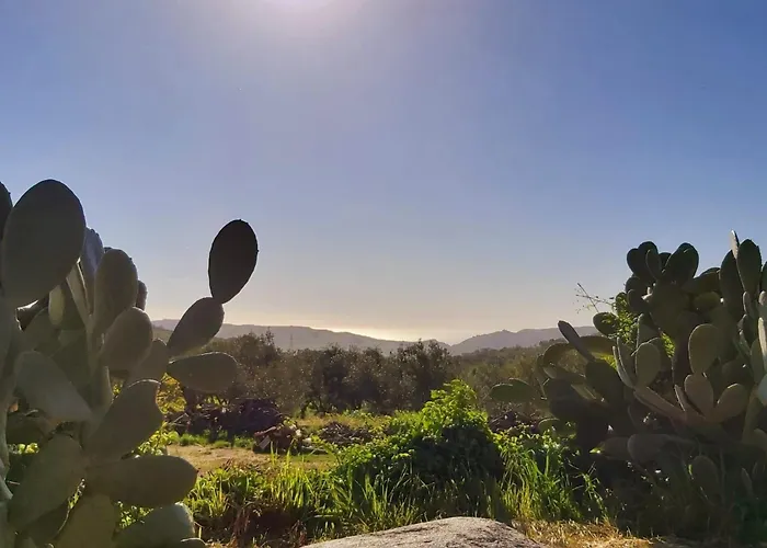 Tolles Reihenhaus Im Olivenhain By Interhome * Girifalco